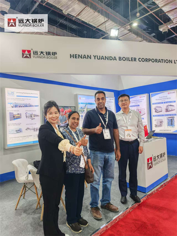 Egypt Industrial Steam Generator Boiler Supplier