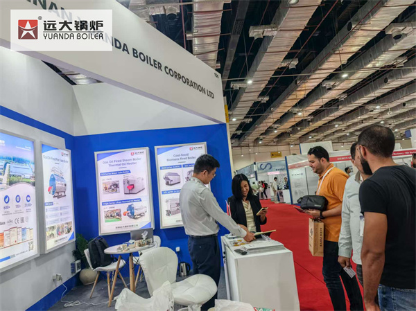 Egypt Industrial Steam Generator Boiler Supplier