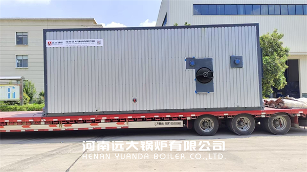 Thailand Biomass Steam Boiler Water Tube Boiler 10ton/hour
