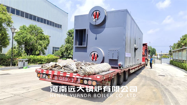 Thailand Biomass Steam Boiler Water Tube Boiler 10ton/hour