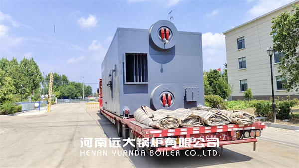 Thailand Biomass Steam Boiler Water Tube Boiler 10ton/hour
