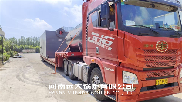 Thailand Biomass Steam Boiler Water Tube Boiler 10ton/hour