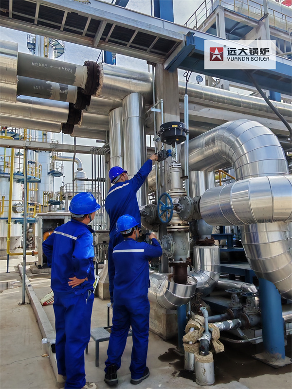 China 700KW Thermal Oil Heater Boiler System