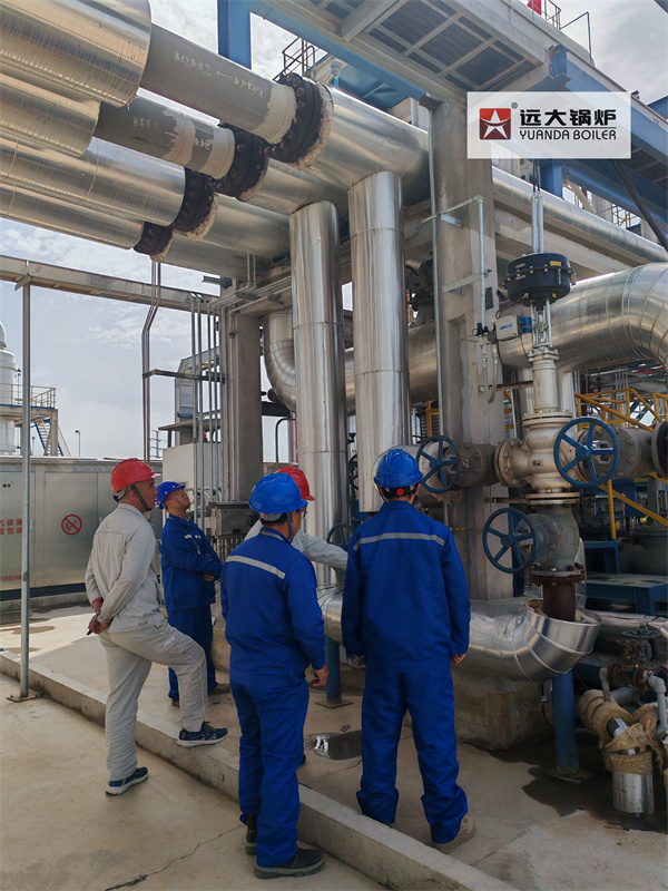 China 700KW Thermal Oil Heater Boiler System