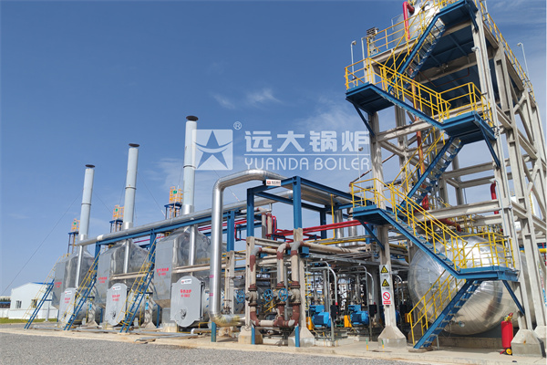 7000kw Gas Oil Fired Thermal Oil Boiler For Petrochemical Industry