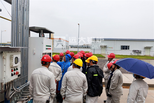 Automatic Thermal Oil Heater Boiler Diesel Gas Powered Boiler Commissioning