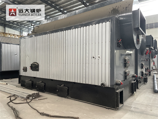 DZL Coal Boiler Hot Water Heater Boiler Made In China