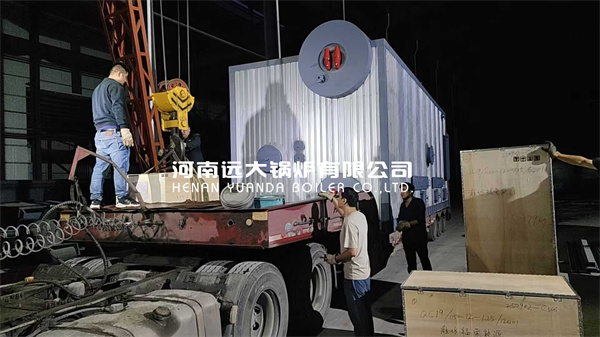 SZS Series Water Tube Biomass Burner Boiler 10ton/hour