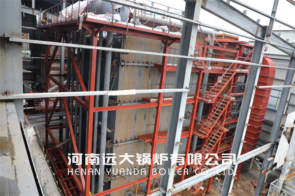 Corner Tube Boiler 65Ton Coal Biomass Water Tube Steam Boiler