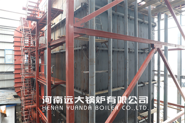 65Ton Industrial Coal Steam Boiler Installation Works
