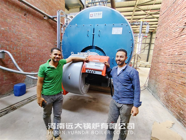 10Ton Gas Fire Tube Steam Generator Boiler In Egypt Food Factory