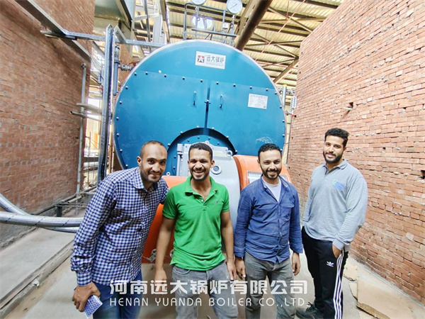 10Ton Gas Fire Tube Steam Generator Boiler In Egypt Food Factory