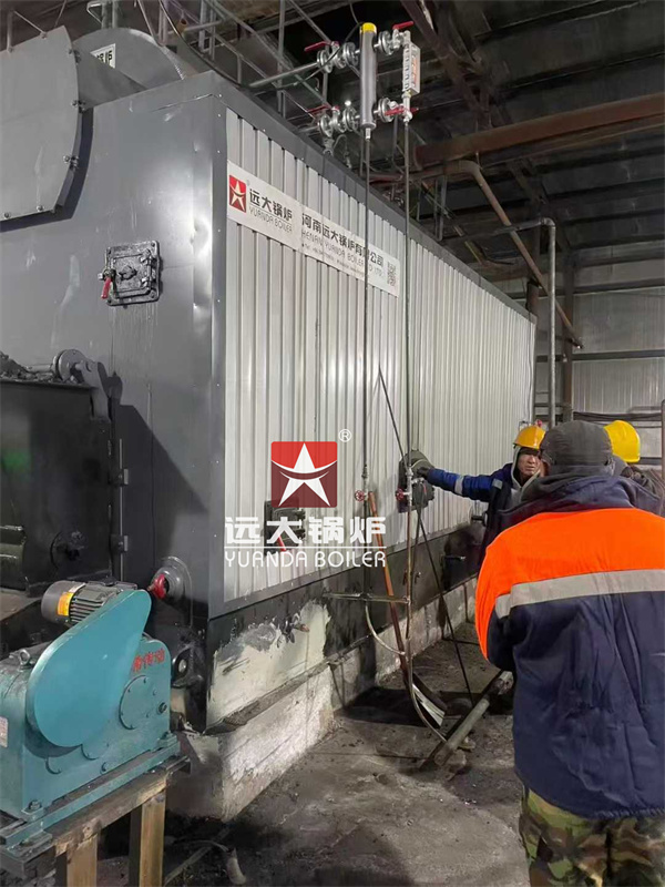 6Ton/H Chain Grate Coal Boiler for Industrial Production in Mongolia – Reliable and Efficient