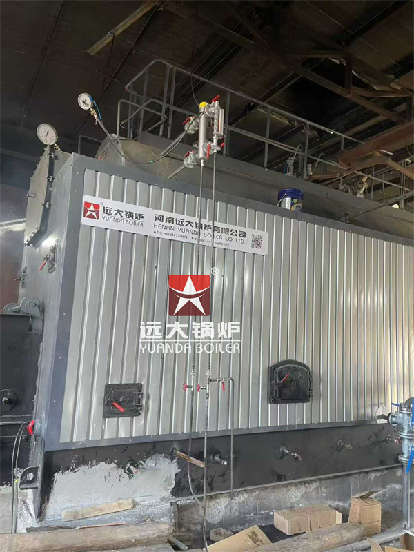 6Ton/H Chain Grate Coal Boiler for Industrial Production in Mongolia – Reliable and Efficient