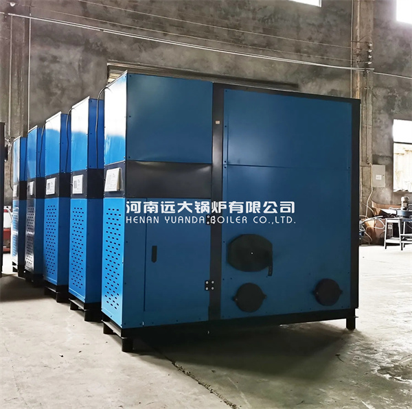 300kg 500kg 1000kg 2000kg Biomass Steam Generator Boiler for Quick Steam Supply