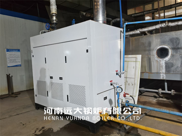 1000kg Gas Steam Generator For Carpet Manufacturing Factory