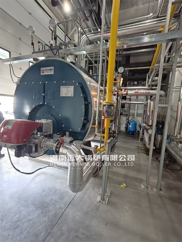 2000kg hour Diesel Fired Steam Boiler Running In Food Factory