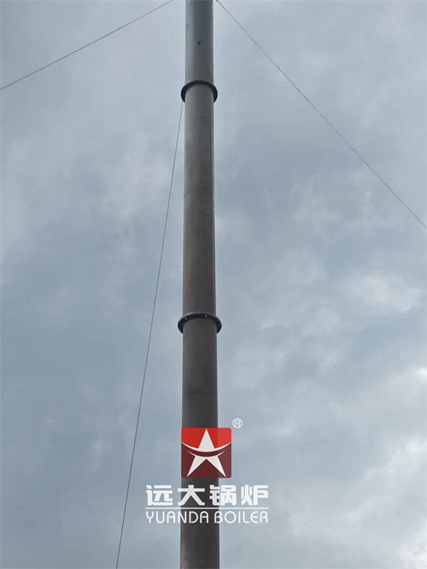 Africa Rwanda Hospital Medical Waste Incinerator 50kg 100kg 150kg 200kg 300kg