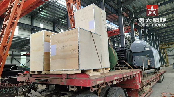 DZG Series Wood Biomass Steam Boiler 2 Ton Per Hour