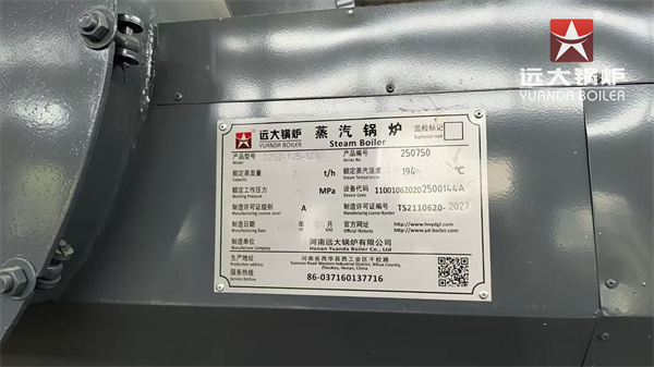 DZG Series Wood Biomass Steam Boiler 2 Ton Per Hour