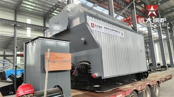 DZG Series Wood Biomass Steam Boiler 2 Ton Per Hour