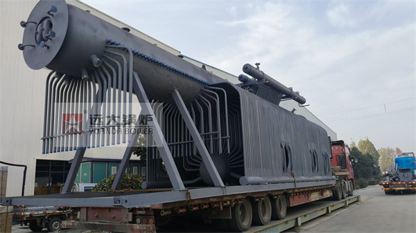 25Ton 2MPa Biomass Palm Kernel Shells & Wood Fired Boiler for Palm Oil Mill in Cameroon