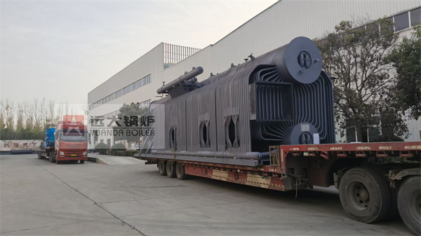 25Ton 2MPa Biomass Palm Kernel Shells & Wood Fired Boiler for Palm Oil Mill in Cameroon