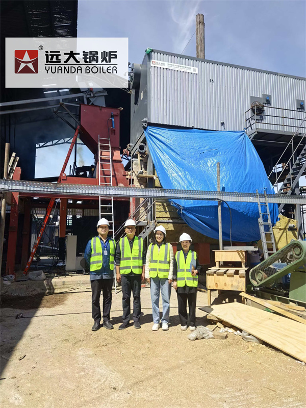 10Ton Caldera Vapor Biomass Wood Steam Boiler For Sawmill Chile