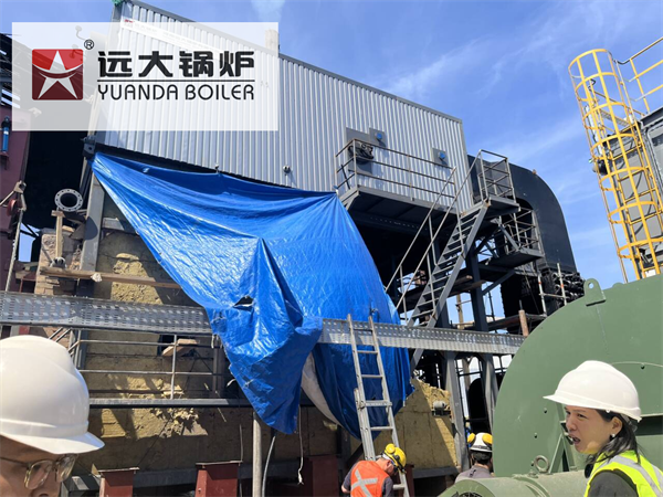 10Ton Water Tube Biomass Steam Boiler in Chile