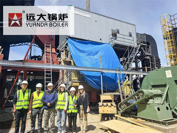 10Ton Water Tube Biomass Steam Boiler in Chile