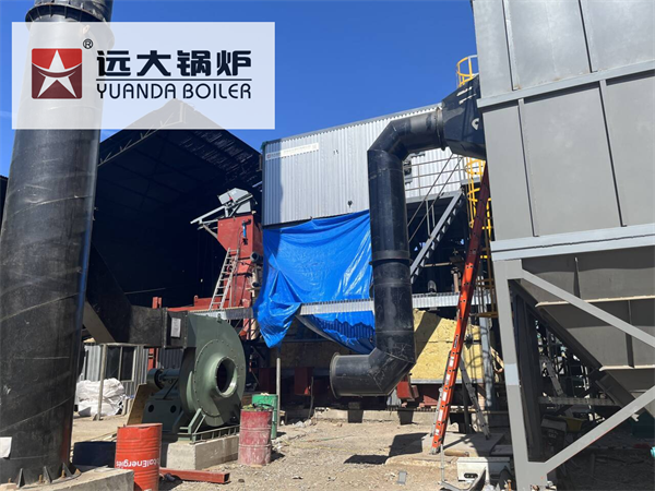 10Ton Caldera Vapor Biomass Wood Steam Boiler For Sawmill Chile