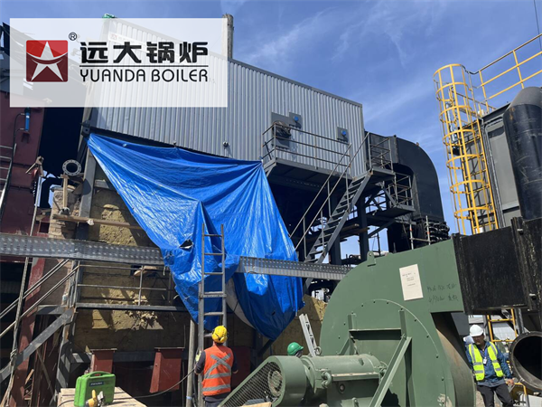 10Ton Caldera Vapor Biomass Wood Steam Boiler For Sawmill Chile
