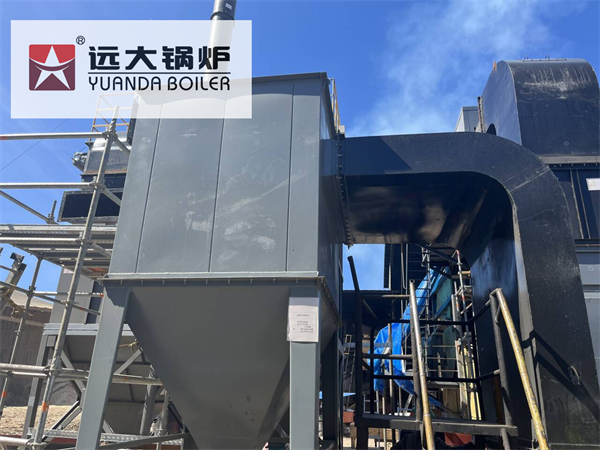 10Ton Biomass Boiler Cyclone Dust Collector