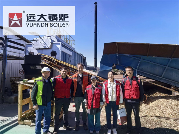 Caldera Biomasa Madera 2800kW para Industria de Pallets, Chile