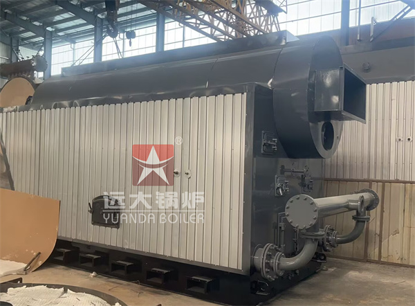 DZH Series Firewood & Coal Steam Boiler 1ton 2ton 3ton 4ton 6ton