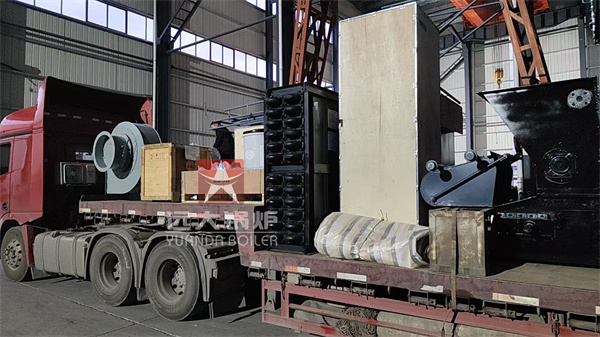 DZL 4 Ton Biomass Steam Boiler for Packaging Factory in Rwanda