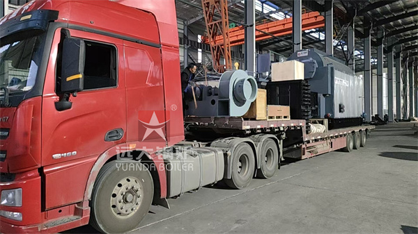 DZL 4 Ton Biomass Steam Boiler for Packaging Factory in Rwanda