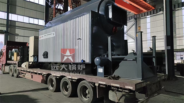 DZL 4 Ton Biomass Steam Boiler for Packaging Factory in Rwanda