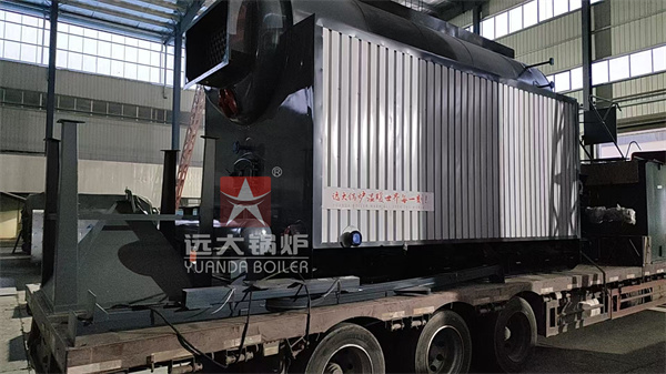 DZL 4 Ton Biomass Steam Boiler for Packaging Factory in Rwanda