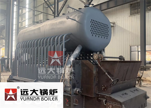 Yuanda DZL Biomass Boiler Coal Boiler Structure