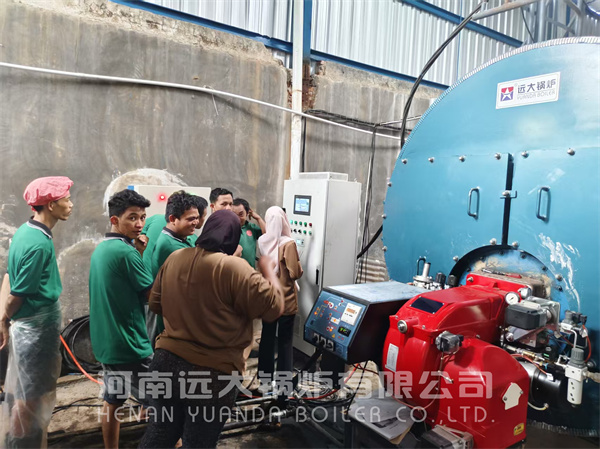 Successful Installation of 3Ton Industrial Steam Boiler in Indonesia