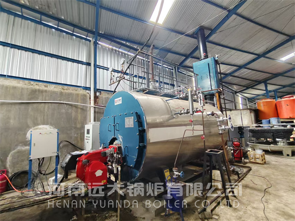 3 Ton Gas/Diesel Fire Tube Steam Boiler Installed in Indonesia Food Plant