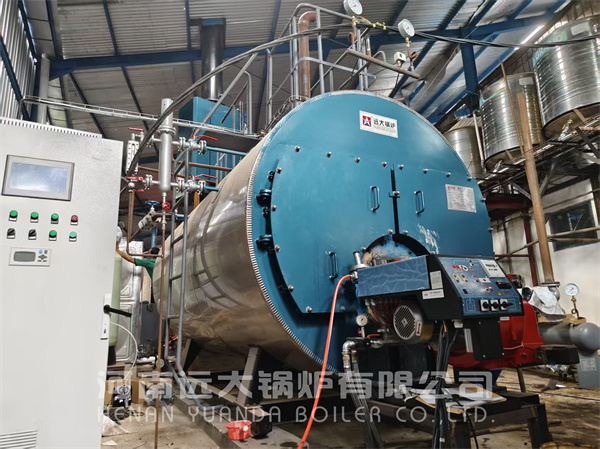 3 Ton Gas/Diesel Fire Tube Steam Boiler Installed in Indonesia Food Plant