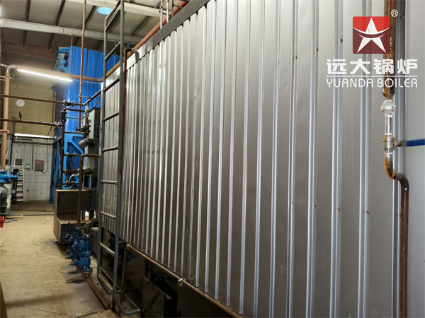 4000kg Biomass Steam Boiler For Pet Food Feed Mill