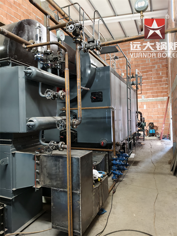 CE Certificated Reciprocating Grate Biomass Boiler 4000kg hour in Poland