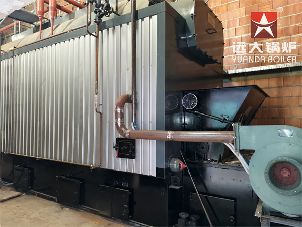 CE Certificated Reciprocating Grate Biomass Boiler 4000kg hour in Poland