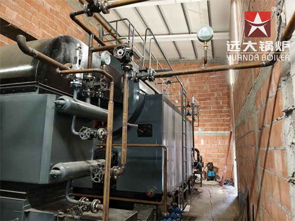 CE Certificated Reciprocating Grate Biomass Boiler 4000kg hour in Poland