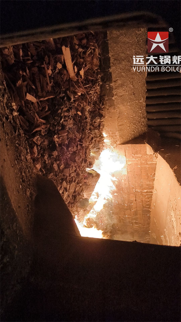 4000kg Biomass Steam Boiler For Pet Food Feed Mill