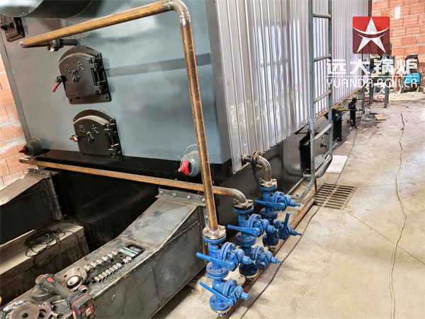 CE Certificated Reciprocating Grate Biomass Boiler 4000kg hour in Poland