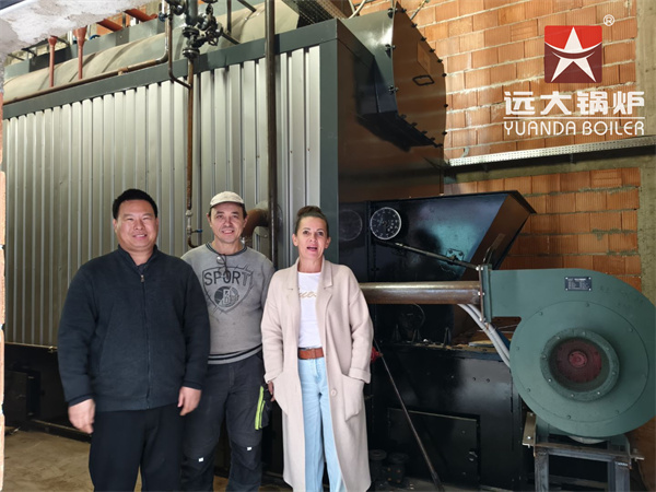 4000kg Biomass Steam Boiler For Pet Food Feed Mill